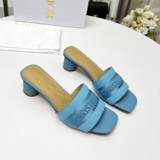 Christian Dior Slippers